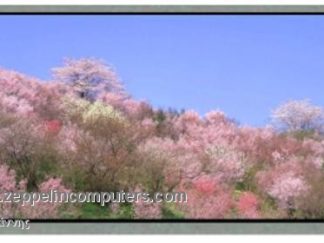 Samsung LT133X2-124 LCD 13.3